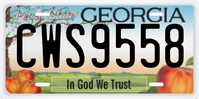 GA license plate CWS9558