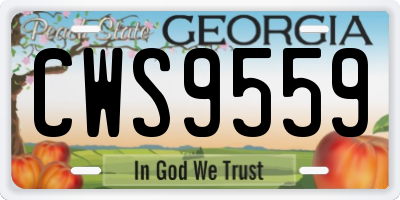 GA license plate CWS9559