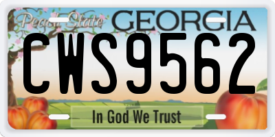 GA license plate CWS9562