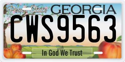GA license plate CWS9563