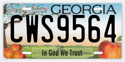 GA license plate CWS9564