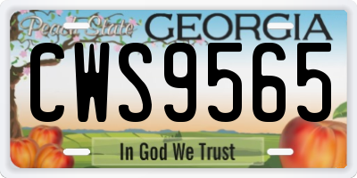 GA license plate CWS9565