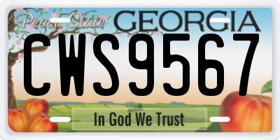 GA license plate CWS9567