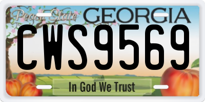 GA license plate CWS9569