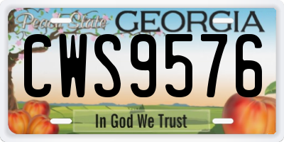 GA license plate CWS9576