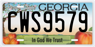 GA license plate CWS9579
