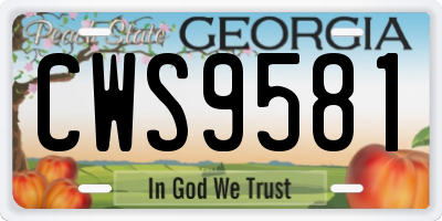 GA license plate CWS9581