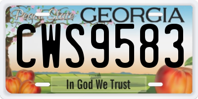 GA license plate CWS9583