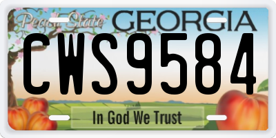 GA license plate CWS9584