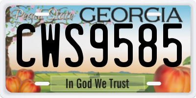GA license plate CWS9585