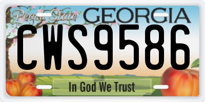 GA license plate CWS9586