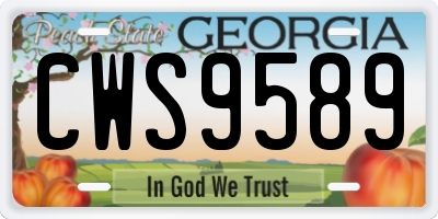 GA license plate CWS9589