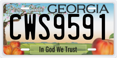 GA license plate CWS9591