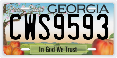 GA license plate CWS9593