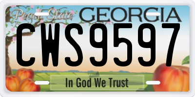 GA license plate CWS9597