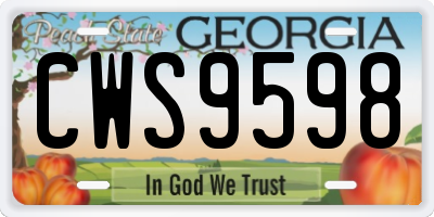 GA license plate CWS9598