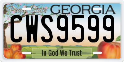 GA license plate CWS9599