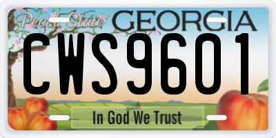 GA license plate CWS9601