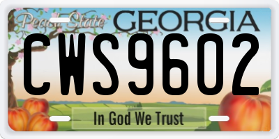 GA license plate CWS9602