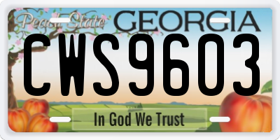 GA license plate CWS9603
