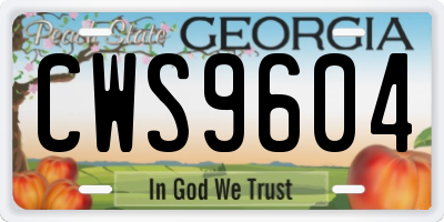GA license plate CWS9604