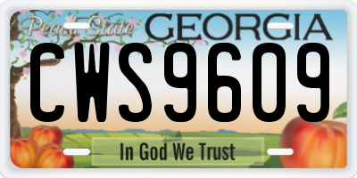 GA license plate CWS9609