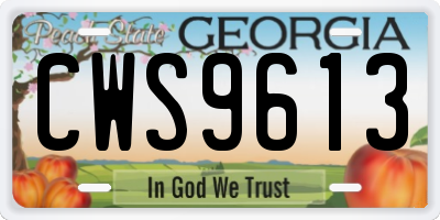 GA license plate CWS9613