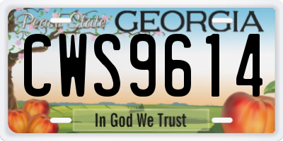 GA license plate CWS9614