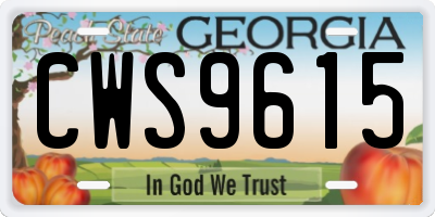 GA license plate CWS9615