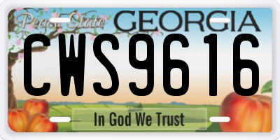 GA license plate CWS9616