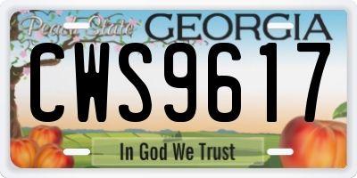 GA license plate CWS9617