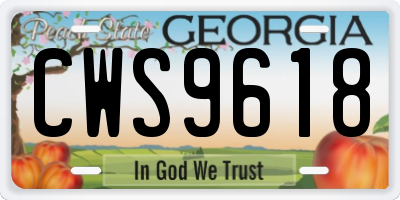 GA license plate CWS9618