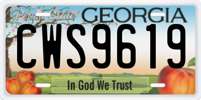 GA license plate CWS9619