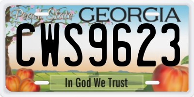 GA license plate CWS9623