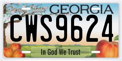 GA license plate CWS9624