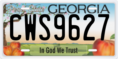 GA license plate CWS9627
