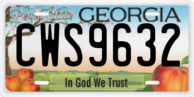 GA license plate CWS9632