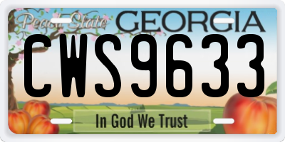 GA license plate CWS9633