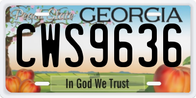GA license plate CWS9636