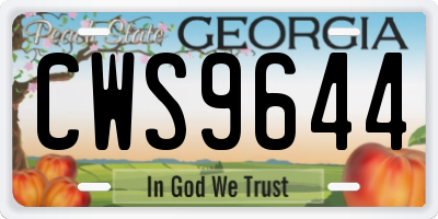 GA license plate CWS9644
