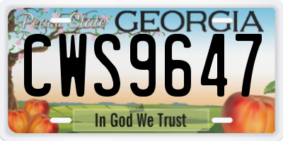 GA license plate CWS9647