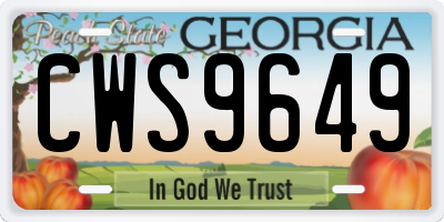 GA license plate CWS9649