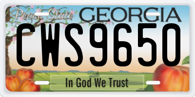 GA license plate CWS9650