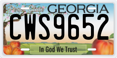 GA license plate CWS9652