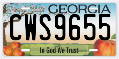 GA license plate CWS9655