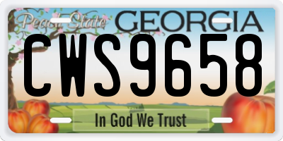 GA license plate CWS9658
