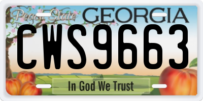 GA license plate CWS9663