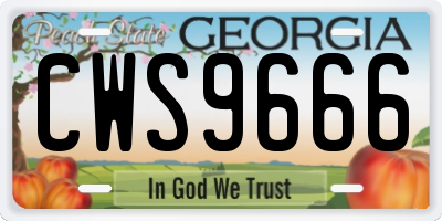 GA license plate CWS9666