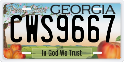 GA license plate CWS9667