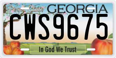 GA license plate CWS9675
